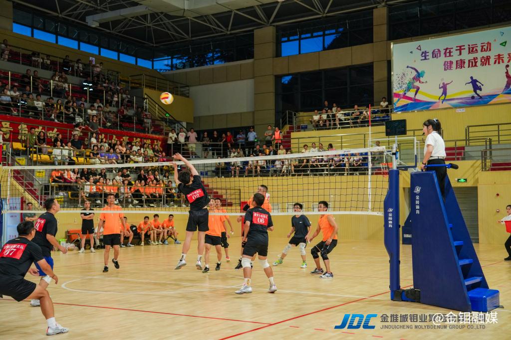20250812-排球赛 (3).jpg