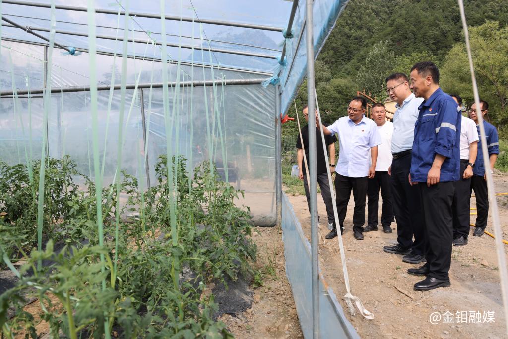 20250721-ű忪չοʵ ƶҵЧ (1).JPG