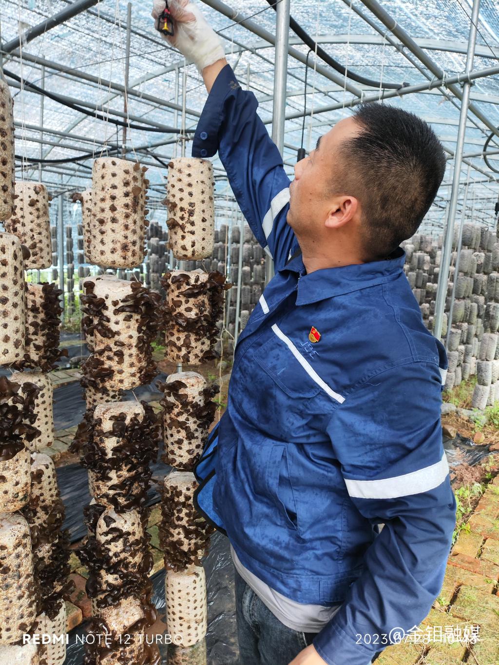 20230801-驻村办实事 锦旗表谢意 (7).jpg